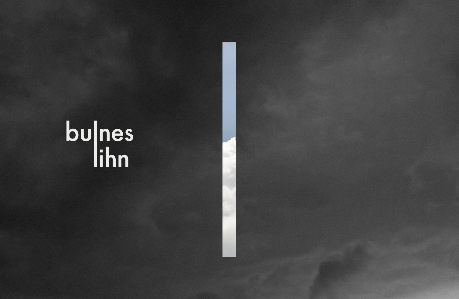 Identidad visual de Bulnes Lihn