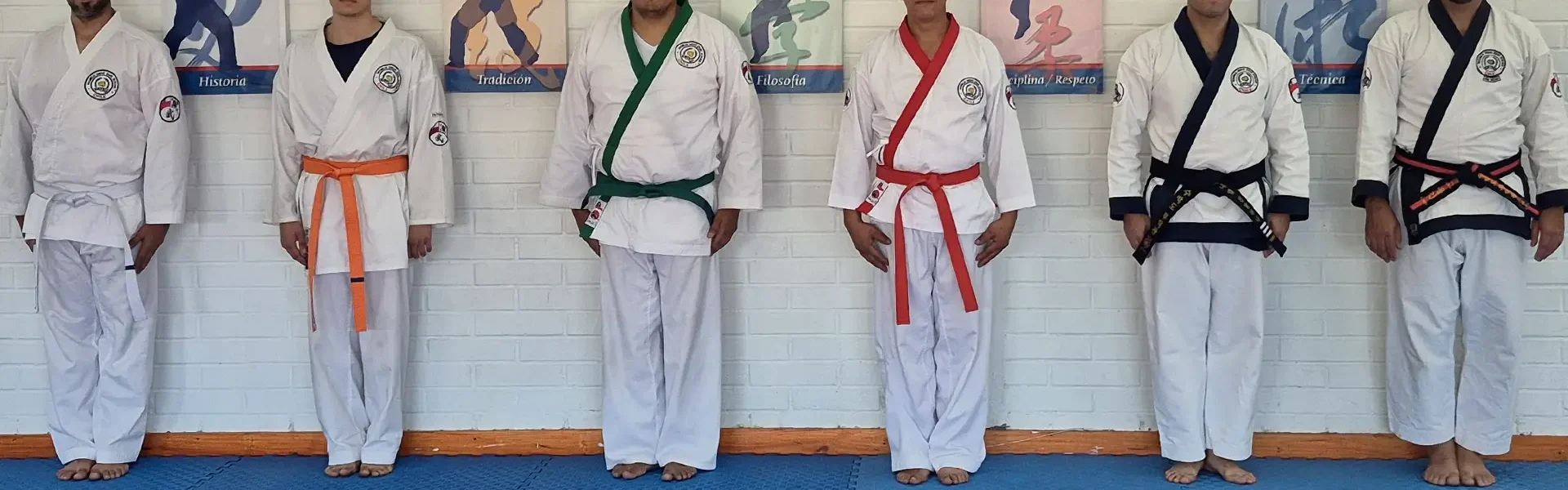 Entrenamiento de adultos en Soo Bahk Do